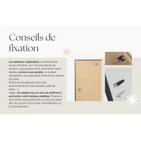 Conseils de fixation murale d’un tableau végétal stabilisé