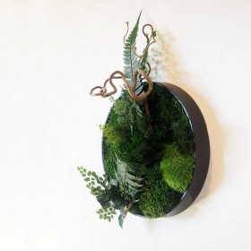 Rond végétal stabilisé WHISTSUNDAY ISLAND — composition ronde végétaux naturels — Deco-Vegetale