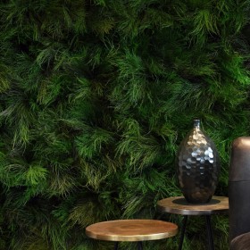 Mur végétal stabilisé Feuillage avec feuillage naturel tree fern dense