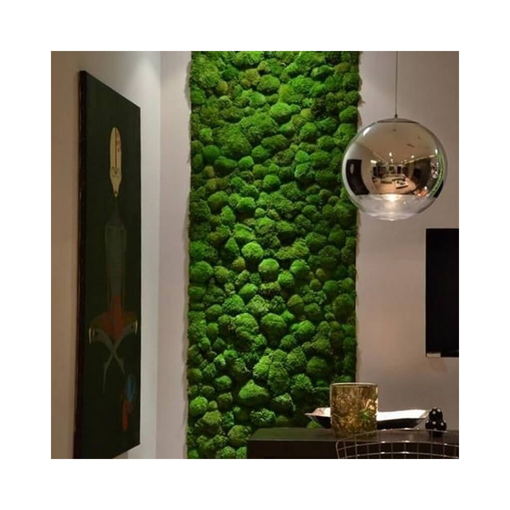 Mur végétal stabilisé POLLMOSS mur de mousse boule naturelle stabilisée décoration murale graphique
