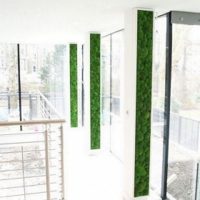 plusieurs panneaux de Mur végétal stabilisé Pollmoss dans un hall vitré