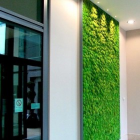 Mur végétal Pollmoss installé dans un couloir professionnel