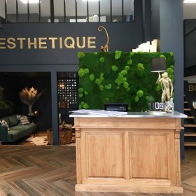 Mur végétal stabilisé Féroé derrière un comptoir d’accueil salon de coiffure nice