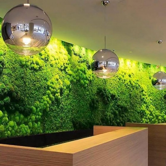 Mur végétal stabilisé Féroé composé de mousses naturelles denses et feuillages exotiques.
