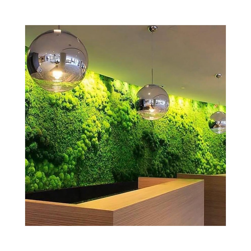 Mur végétal stabilisé Féroé composé de mousses naturelles denses et feuillages exotiques.