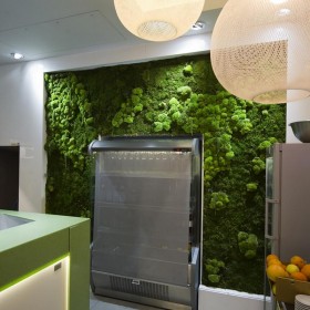 Mur végétal stabilisé Féroé installé dans une cuisine professionnelle fast food