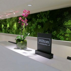 Mur végétal stabilisé Féroé dans un espace d’accueil hotel hilton