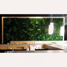 Mur végétal Féroé dans un espace de restauration avec suspensions