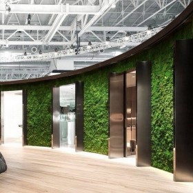 Mur végétal stabilisé dans un couloir de bureaux lumineux