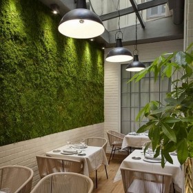 Mur végétal stabilisé installé dans un espace de restauration