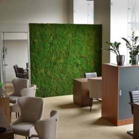 Mur végétal stabilisé dans un espace d’accueil avec fauteuils