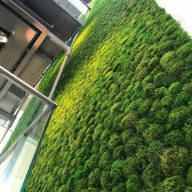 Vue en perspective d’un mur végétal stabilisé Provence