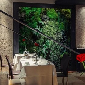 Mur végétal stabilisé Relief dans un restaurant