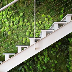 Mur végétal multivégétal stabilisé installé le long d’un escalier