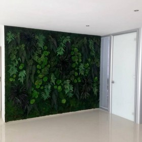 Mur végétal multivégétal stabilisé dans un intérieur contemporain