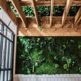 Mur végétal multivégétal stabilisé dans un patio sous pergola en bois