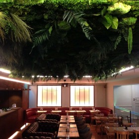 Mur végétal multivégétal stabilisé au plafond d’un restaurant