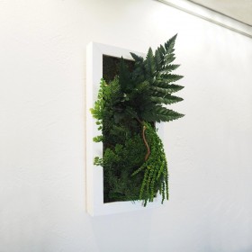 Tableau végétal Curly Sue en feuillages stabilisés sur mur clair