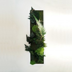 Tableau végétal stabilisé Green Love en format vertical