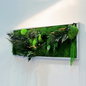 Tableau végétal stabilisé Green Wave vue de profil, végétation dense avec branches de noisetier et cadre bois blanc