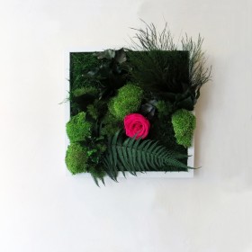 Tableau vegetal carre cadre blanc avec rose fuchsia mousse et fougere