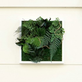 Tableau végétal stabilisé Nature accroché au mur, décoration intérieure