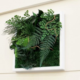 Tableau végétal stabilisé Nature vue de profil, relief végétal et cadre blanc