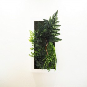 Tableau végétal vertical Curly Sue en végétaux stabilisés
