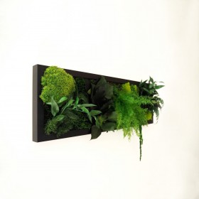 Vue de profil cadre vegetalise noir avec relief de mousses et fougeres