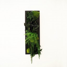 Tableau vegetal cadre noir rectangulaire mousse et fougeres stabilisees