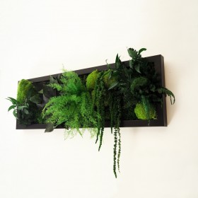 Cadre mural vegetal noir avec feuillage vert naturel sans entretien