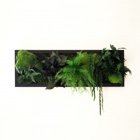 Tableau végétal stabilisé BLACK SHINE — plantes naturelles stabilisées — décoration murale