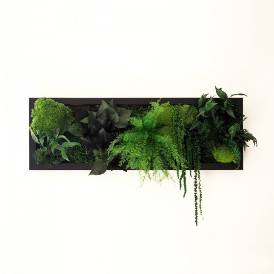 Tableau végétal stabilisé BLACK SHINE — plantes naturelles stabilisées — décoration murale