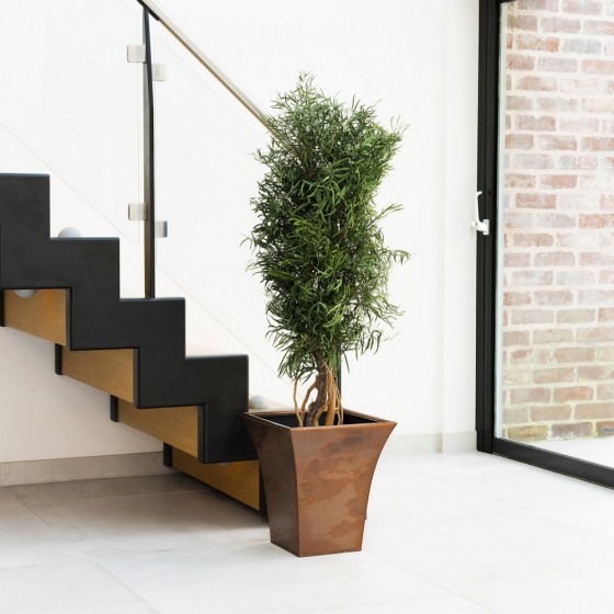 Plante stabilisée eucalyptus nicoly droit - grand format naturel stabilisé - bestseller -Deco-Vegetale