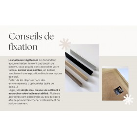 Conseils de fixation du tableau végétal stabilisé Sensual Touch