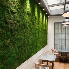 Mur végétal stabilisé éclairé dans un espace de restauration