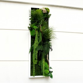 Tableau végétal stabilisé AMAZING — plantes stabilisées naturelles — décoration murale — Deco-Vegetale