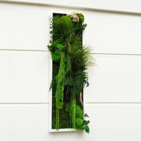 Tableau végétal stabilisé amazing vert et bois avec coulée d'amaranthe 40x150cm vue de profil