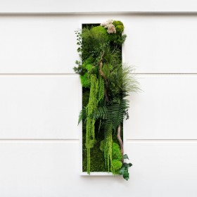 Tableau végétal stabilisé amazing vert et bois avec coulée d'amaranthe 40x150cm vue de face