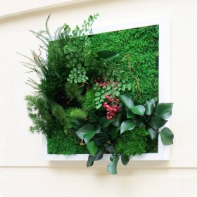 Vue latérale du tableau de plantes stabilisées Monte-Carlo fixé sur un mur blanc.