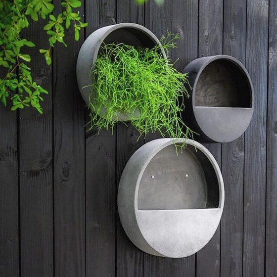 Pot suspendu végétal WALLY — plante stabilisée en suspension — décoration intérieure — Deco-Vegetale