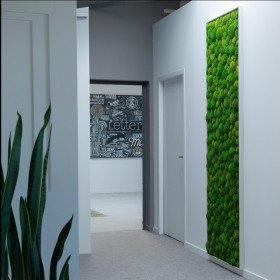 Mur végétal stabilisé Pollmoss dans un couloir contemporain