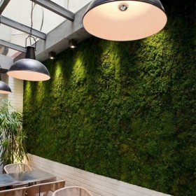 Mur végétal FlexiWall en mousse naturelle dans un restaurant