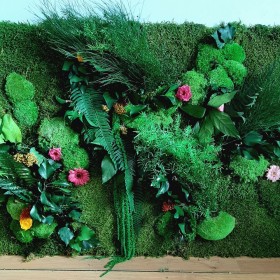 Mur végétal stabilisé Flowers avec fleurs colorées et feuillages naturels