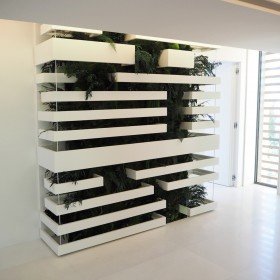 Mur végétal Relief installé avec une cloison blanche intérieure eclairée