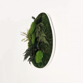 tableau vegetal stabilisé rond