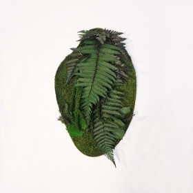 tableau vegetal rond