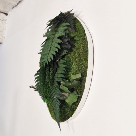 tableau vegetal forme organique