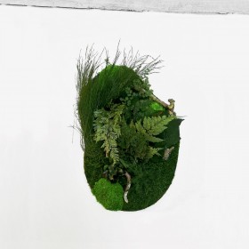tableau vegetal stabilisé organique