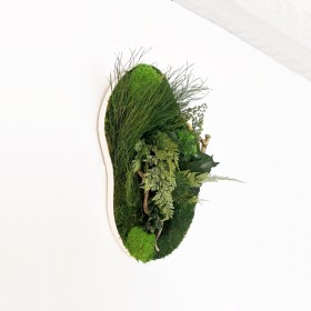 tableau vegetal forme organique